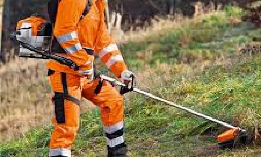 Brushcutters & Clearing Saw Market May Set Epic Growth Story |Bosch ...
