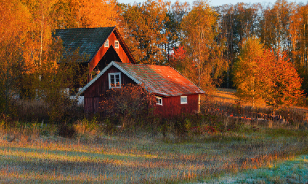 BugOutBarn
