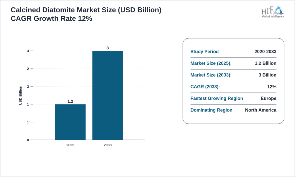 Calcined Diatomite Market