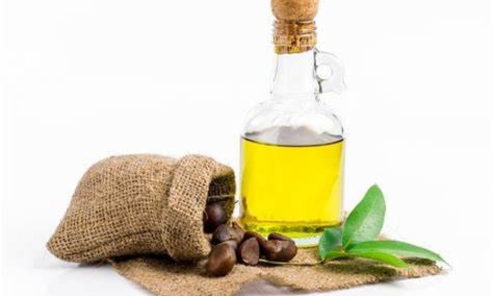 Camellia Oil