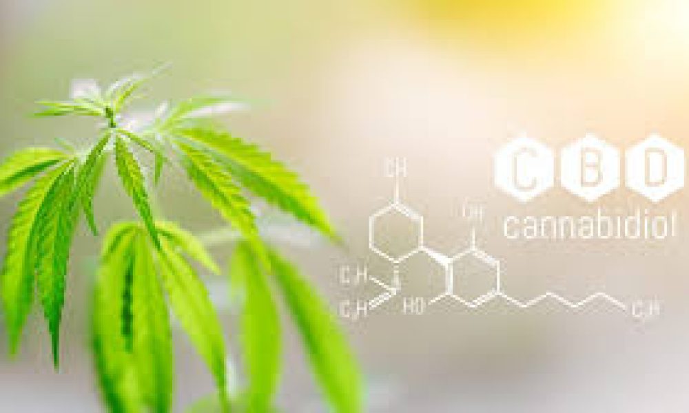 Cannabidiol
