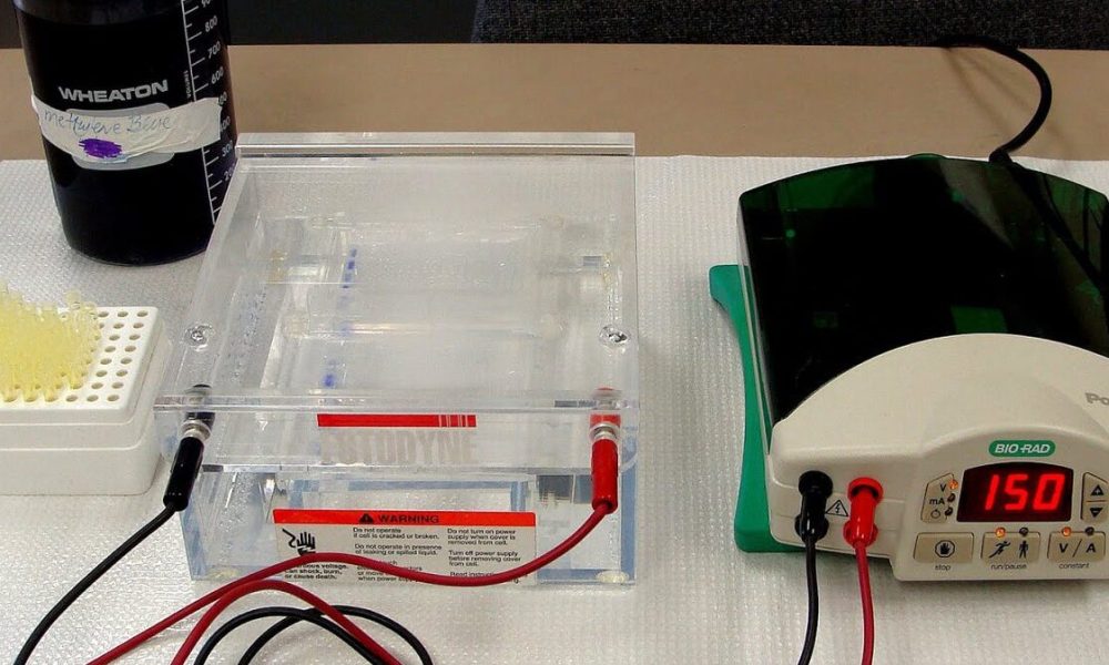 Capillary Electrophoresis Market
