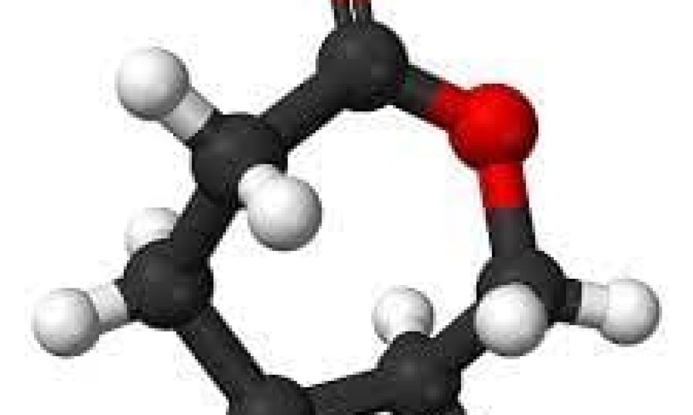 Caprolactone Market