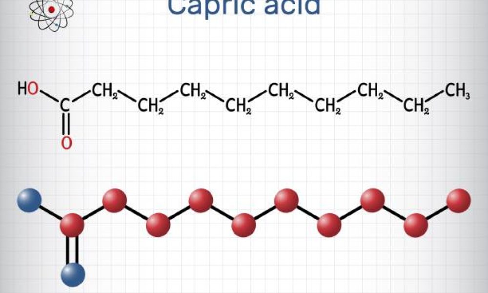 Capric acid, decanoic acid or decylic acid molecule. It is saturated fatty acid. Structural chemical formula, molecule model. Sheet of paper in a cage. Vector illustration