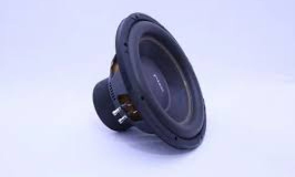 Car Subwoofer Market size