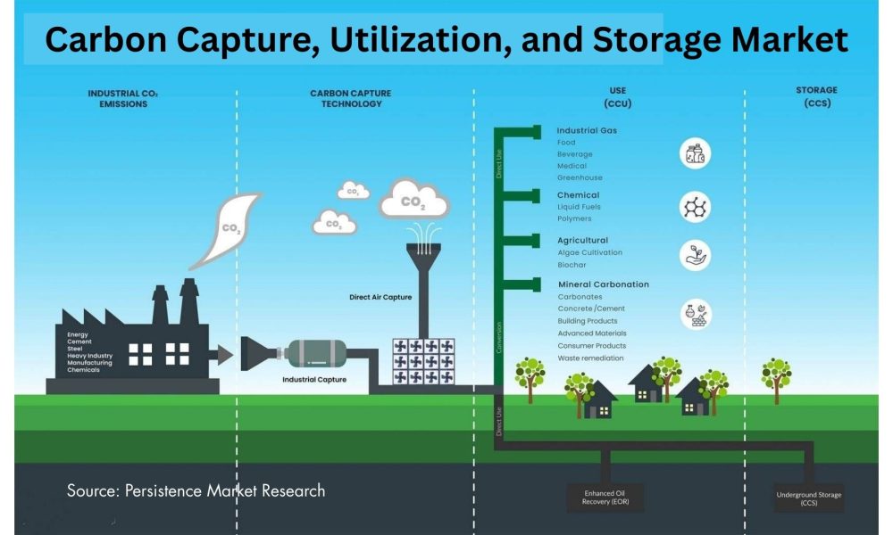 Carbon Capture, Utilization, and Storage Market