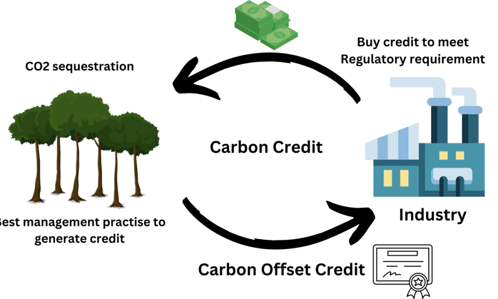 Carbon Offsets and Credits Market