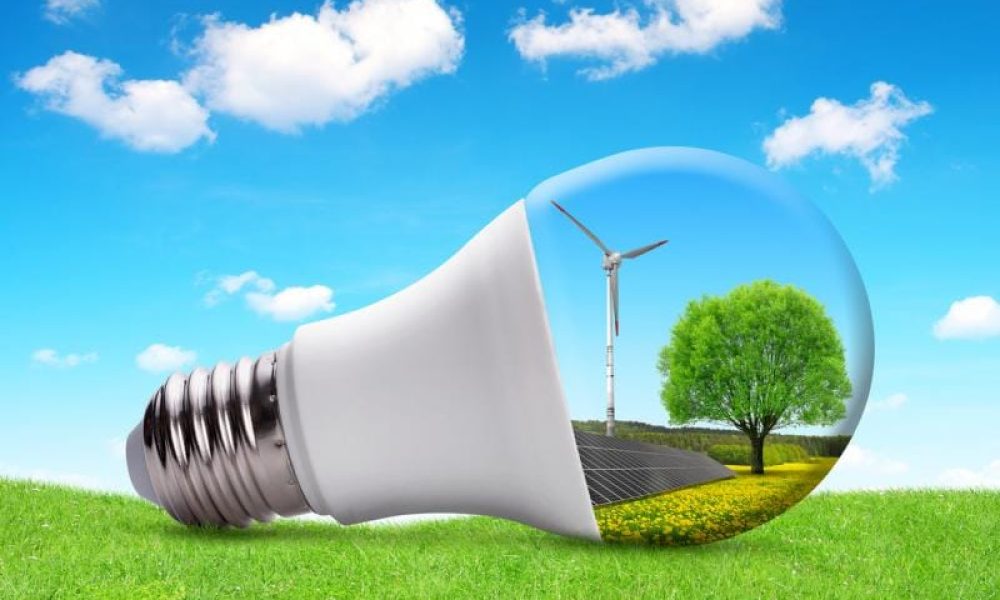 Carbon and Energy Software Market