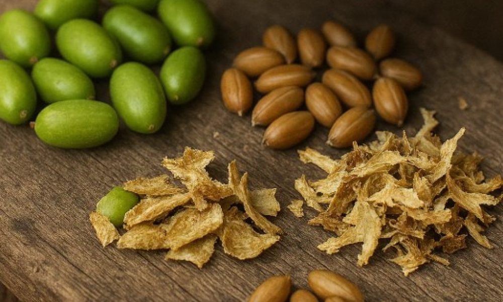 Cardamom Oil Market