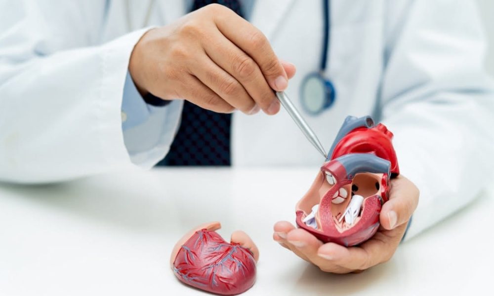 Cardiac Prosthetic Devices Market to See Drastic Growth – Post 2024 ...