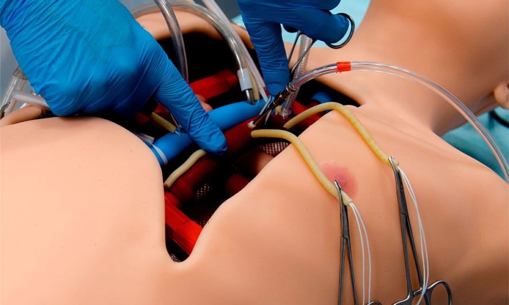 Cardiac Surgery Simulator