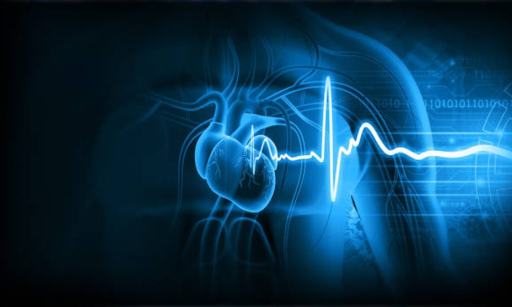 Human heart with ecg graph. 3d illustration