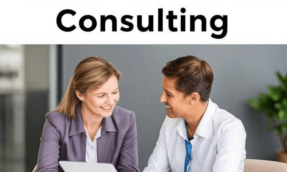 Career Transition Consulting Market