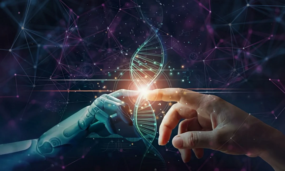 Casual AI Market