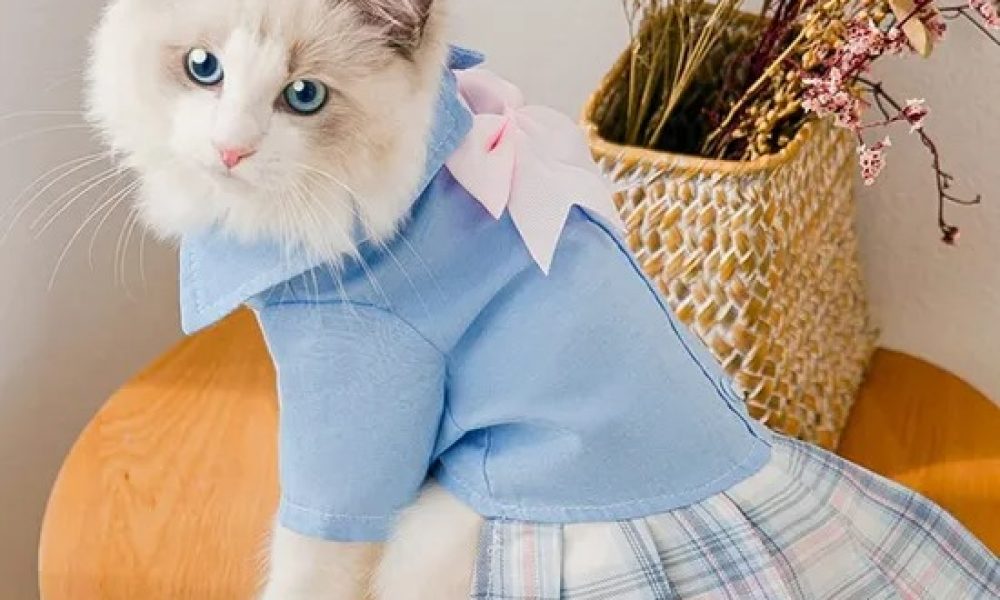 Cat Clothing Market