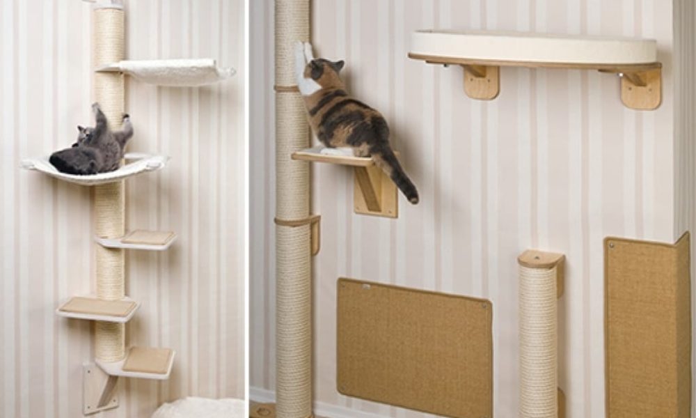 Cat Scratchers and Trees Market