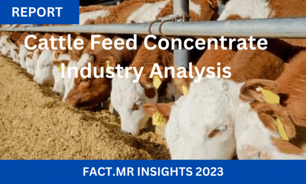 Cattle Feed Concentrate