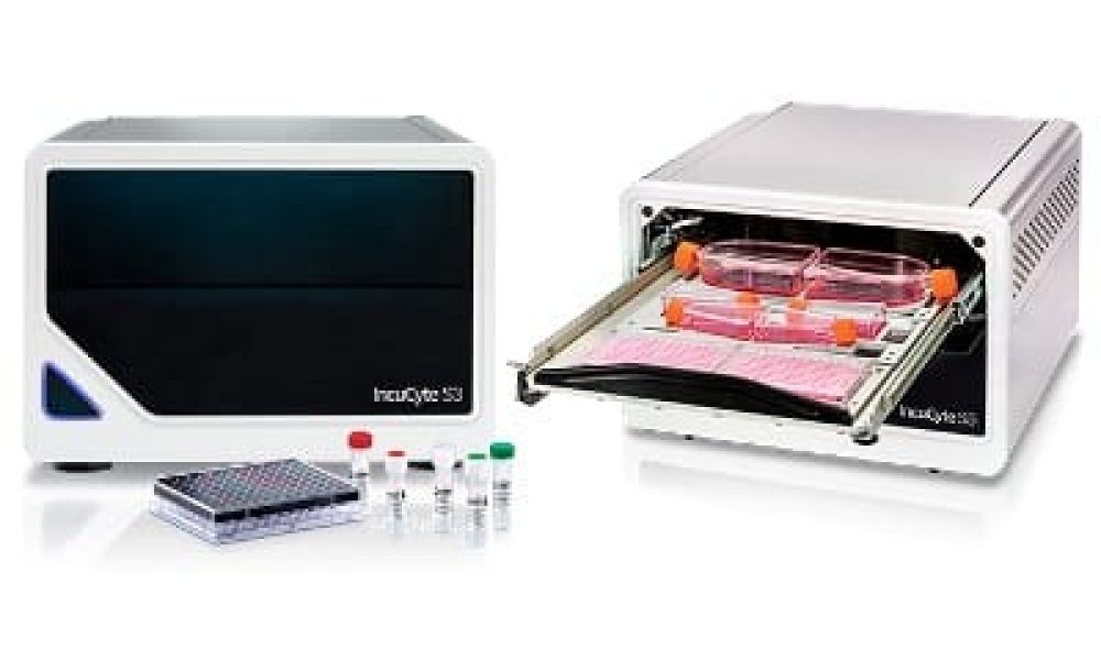 Cell Analysis Market