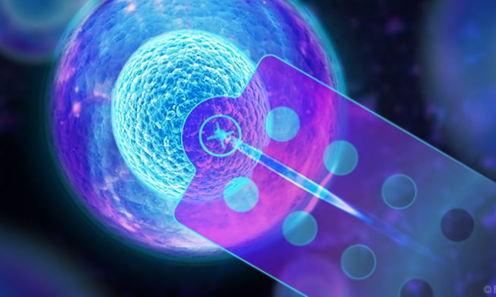 Cell Analysis Technology Market Giants Spending Is Going To Boom ...
