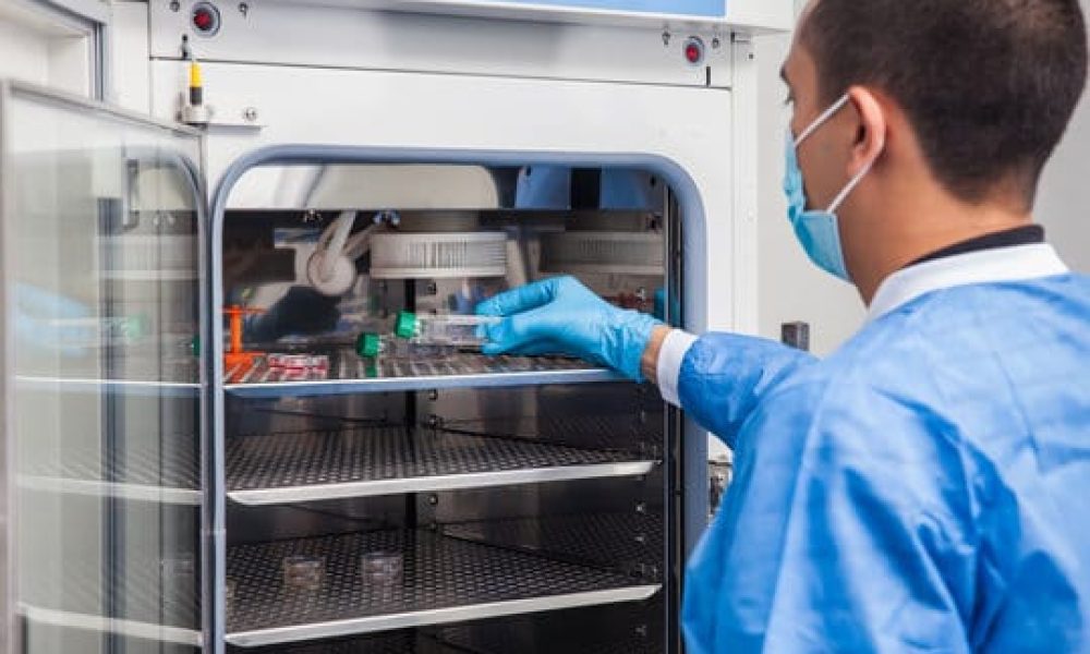 Cell Culture Incubator Market