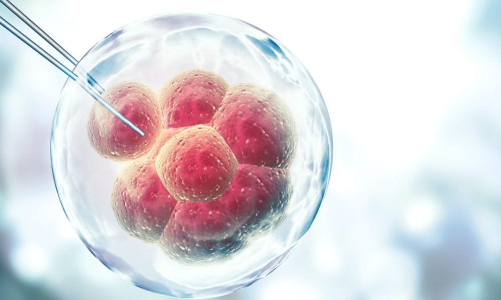 Cell Line Development Services Market