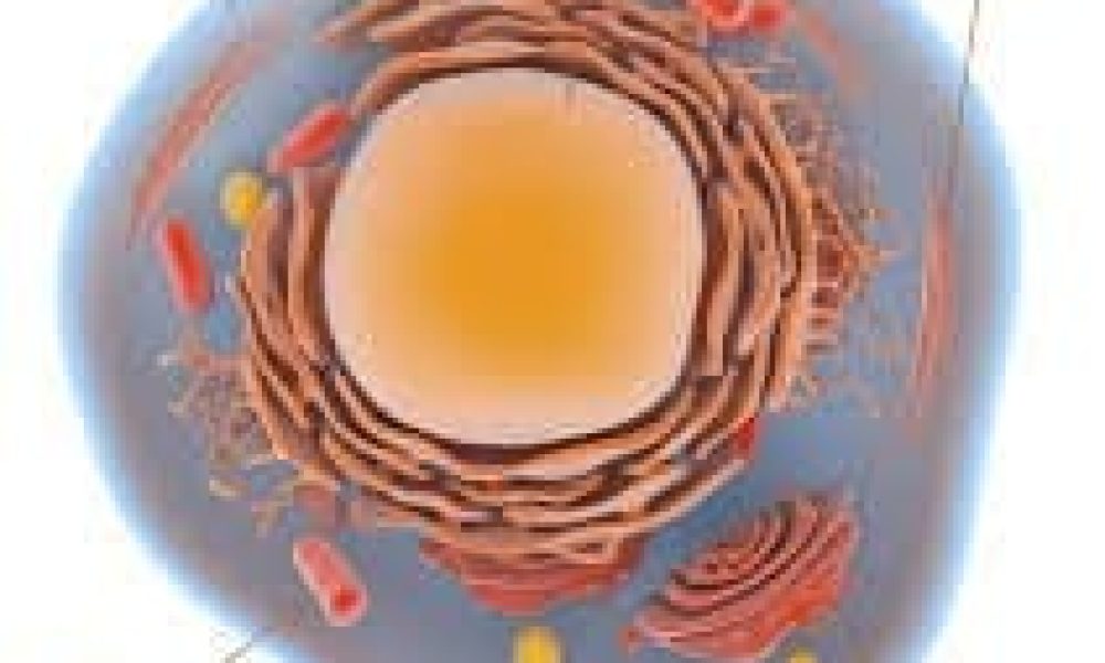 Cell Structure Probes Market Analysis Current and Future Growth ...