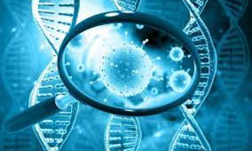 Cell Technology Service Market