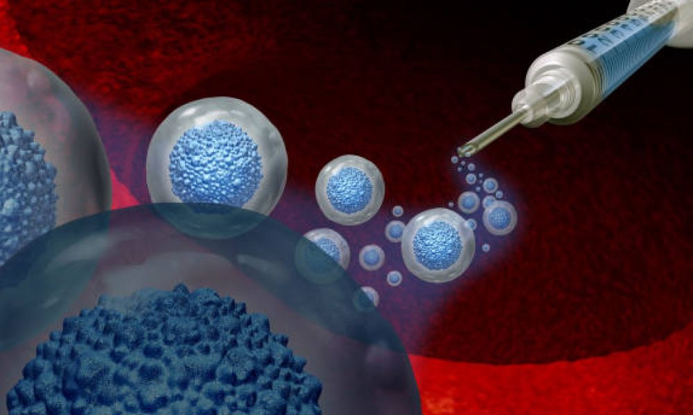 Stem cell treatment and biology as a multicellular embryonic concept or adult organismas a symbol for cellular therapy as a 3D illustration.