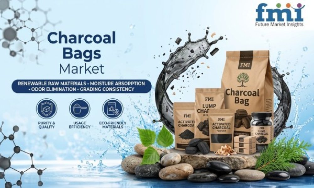 Charcoal Bags Market