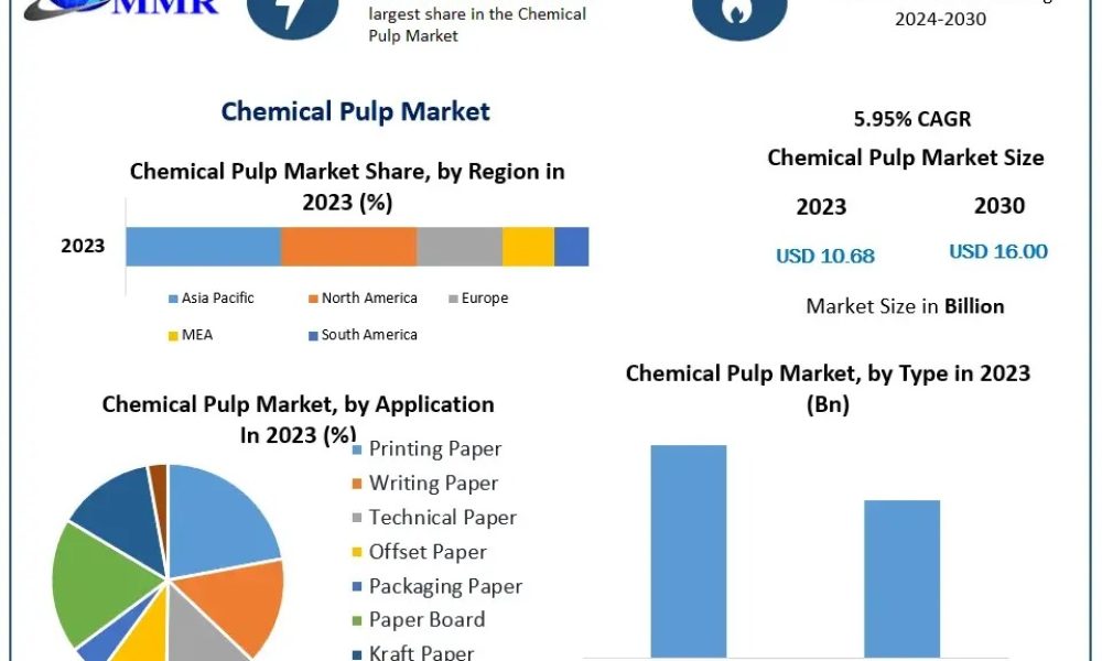 Chemical Pulp Market Outlook (2024–2030) Growth Opportunities, Key ...