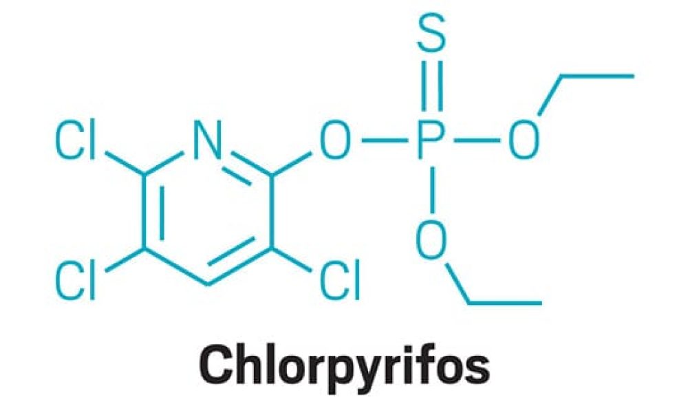 Chlorpyrifos