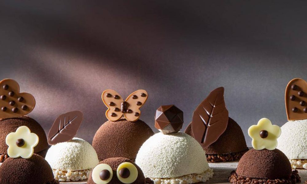 Chocolate Inclusions & Decorations Market