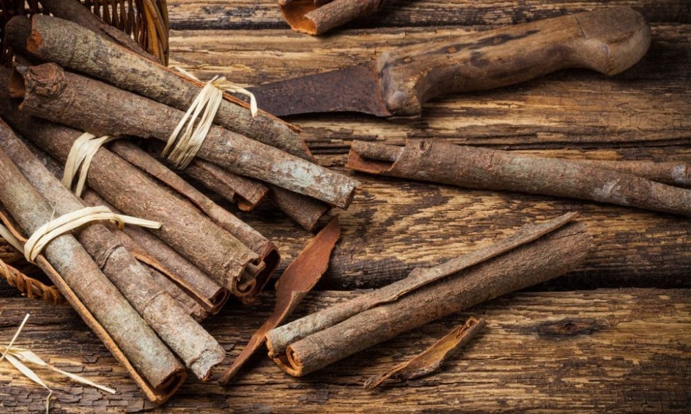 Cinnamon Bark Market