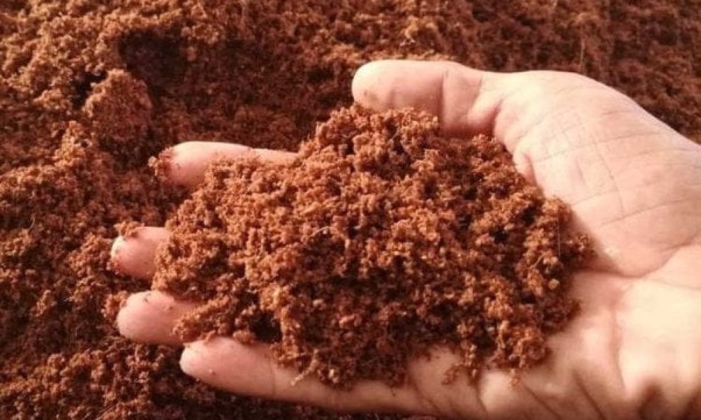 Coco Peat