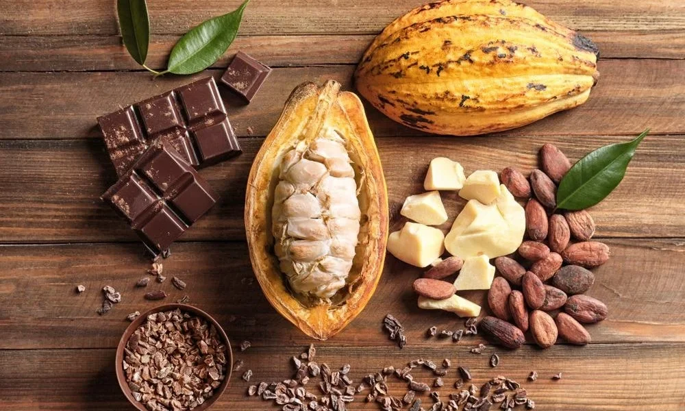 Cocoa & Chocolate Market