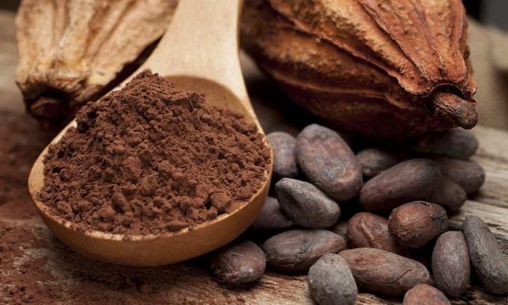 Cocoa Fiber Market