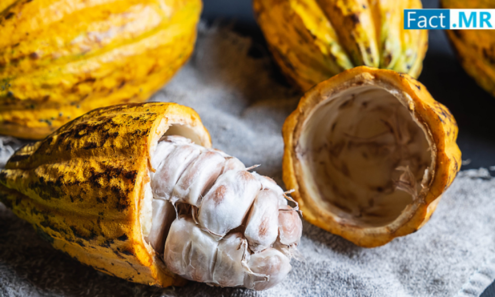 Cocoa Pod Husk Flour Market