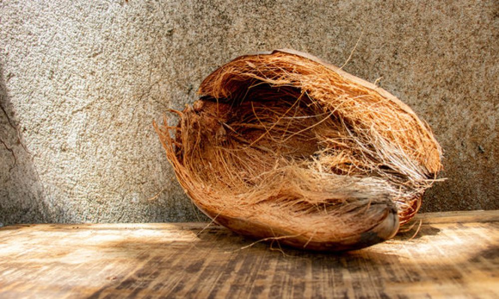 Coconut Husk Fiber Market