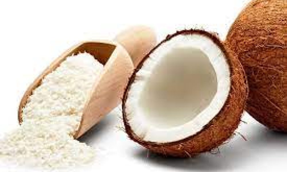 Coconut Milk Powder Market