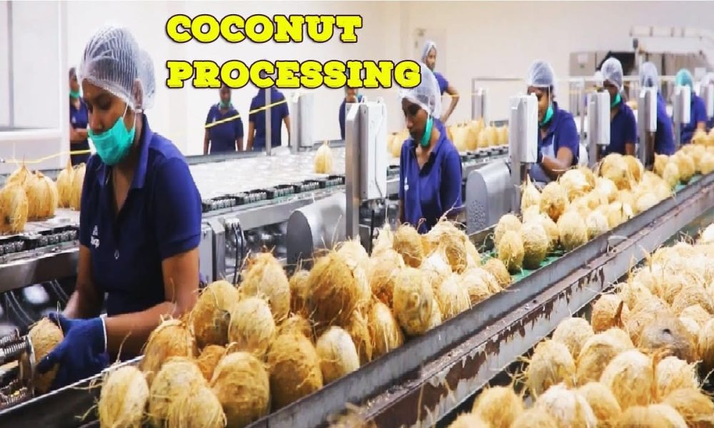 Coconut Processing Market to Witness Remarkable Growth by 2030 - Newstrail