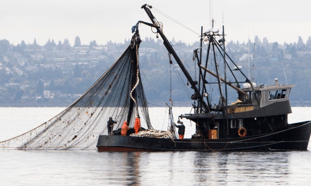 Commercial Fishing Vessels Market - Poised For Disruptive And Explosive ...