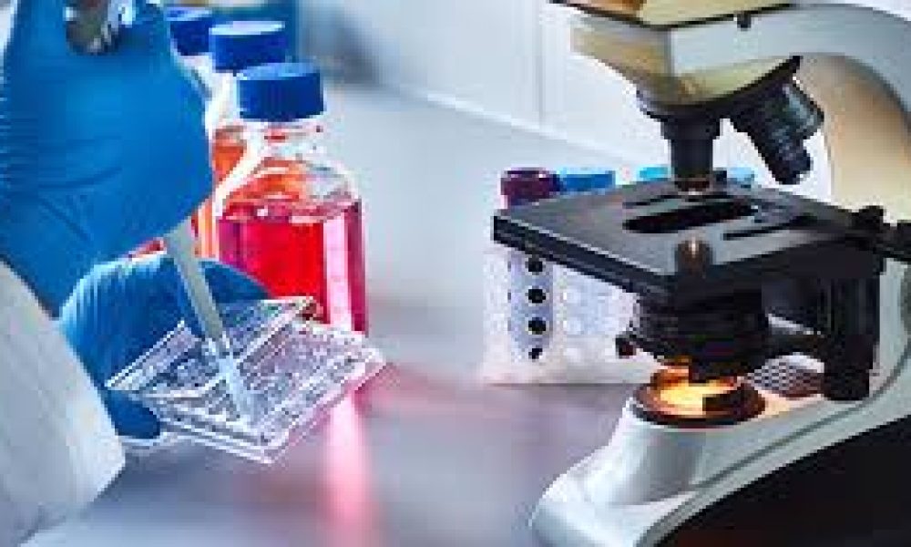 Companion Diagnostic Technologies