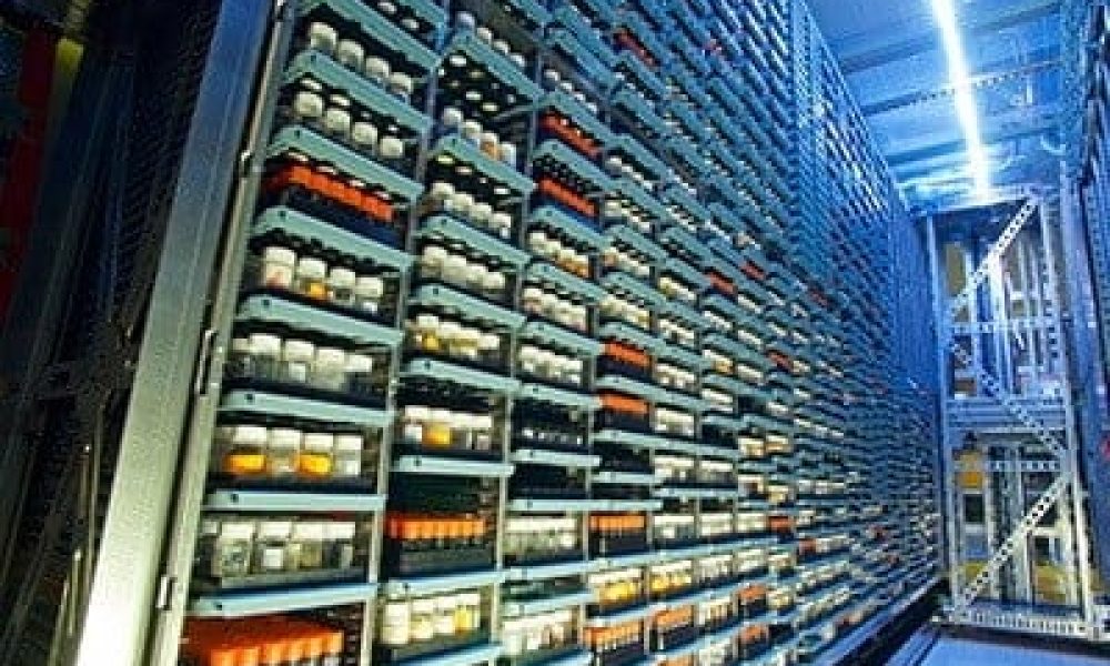 Compound Management Market to See Huge Growth by 2030 | Brooks Life ...