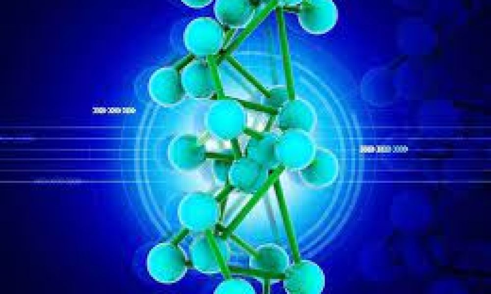 Computational Toxicology Solutions Market