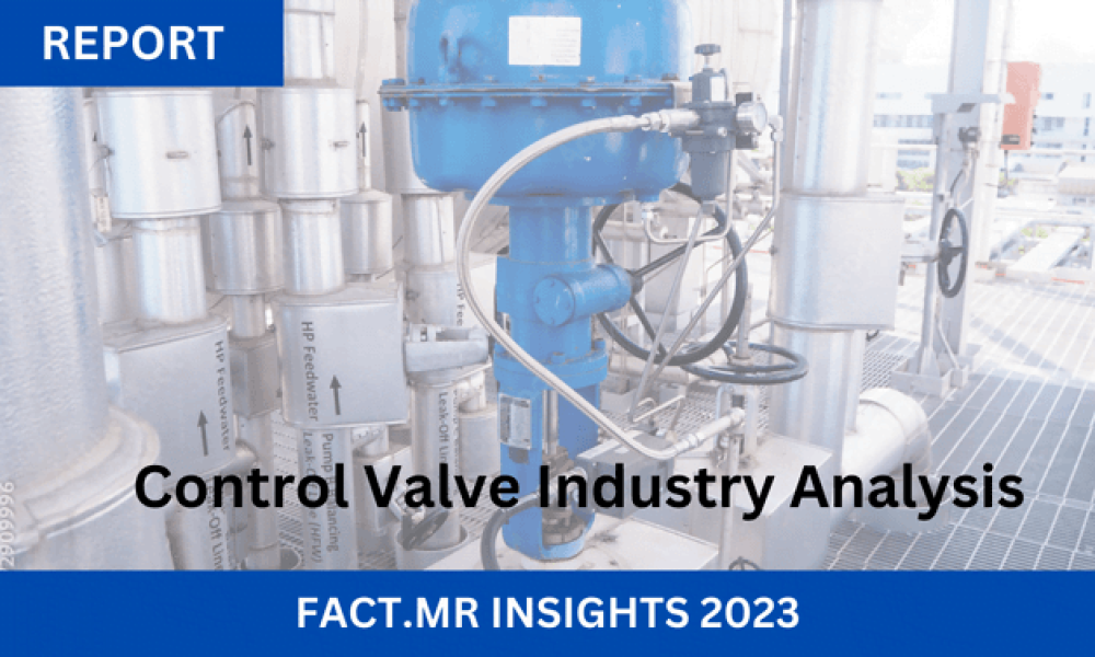 Control Valve Market