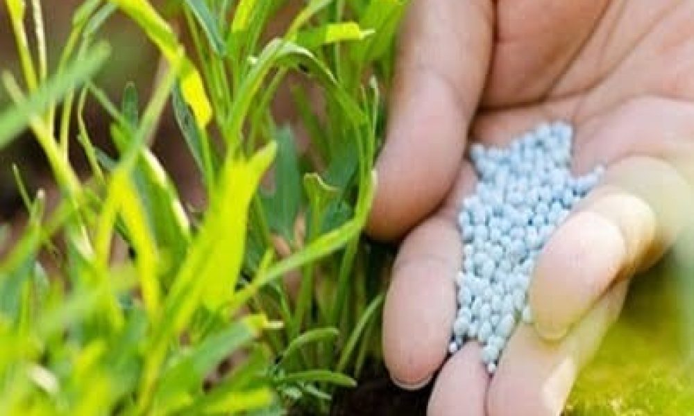 Controlled Release Fertilizers Market