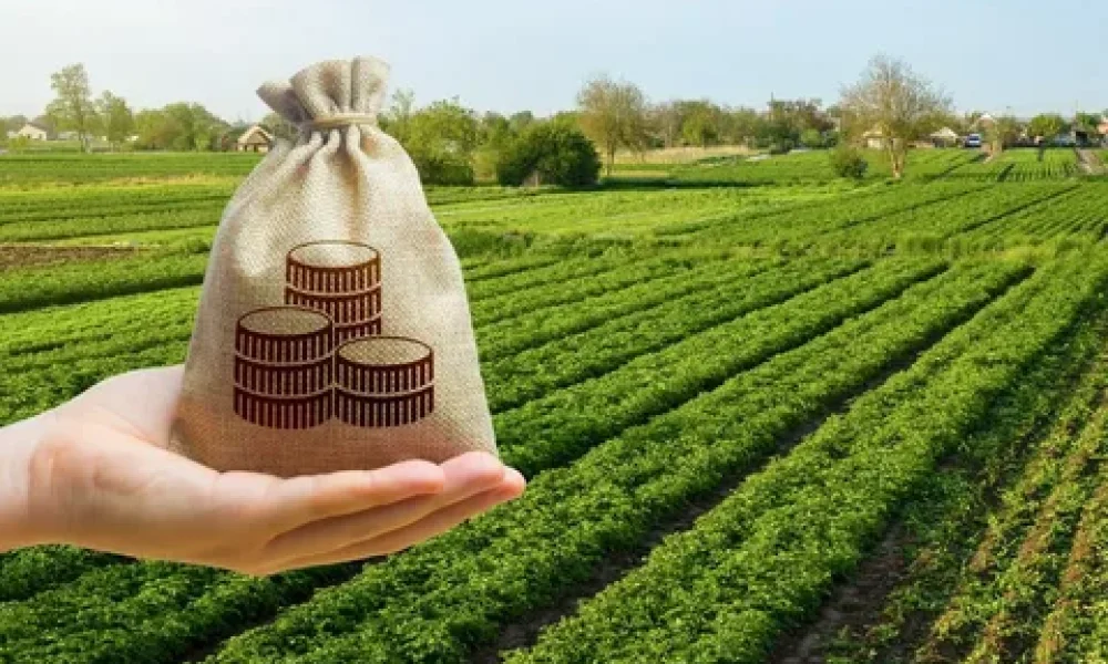 Crop Insurance Market