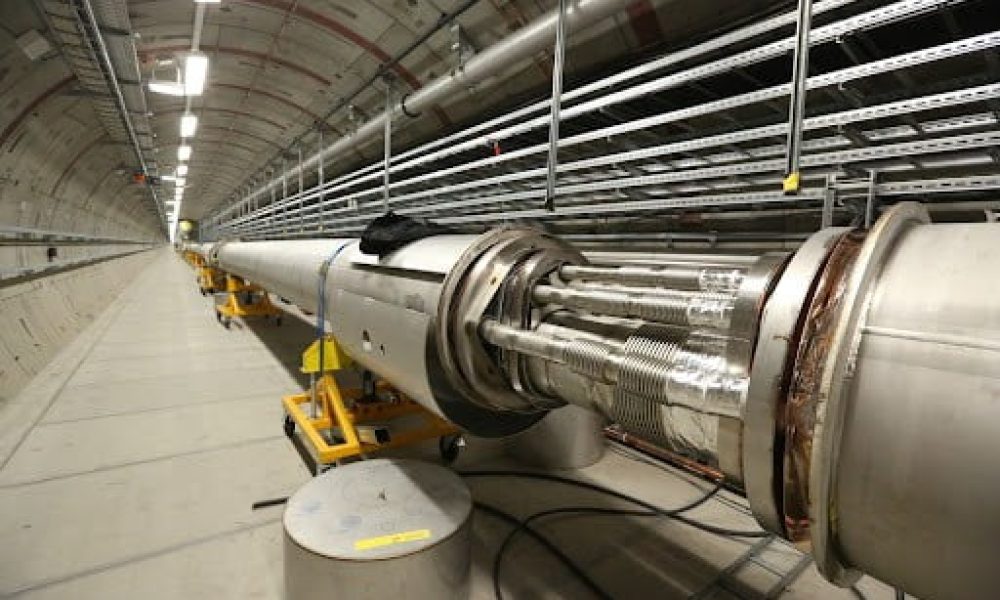 Cryonics Technology Market
