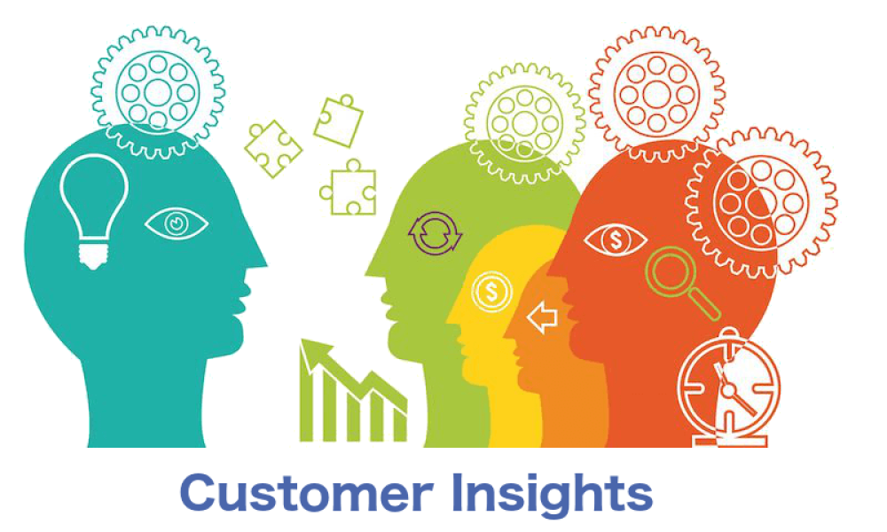Customer Insight Service Market