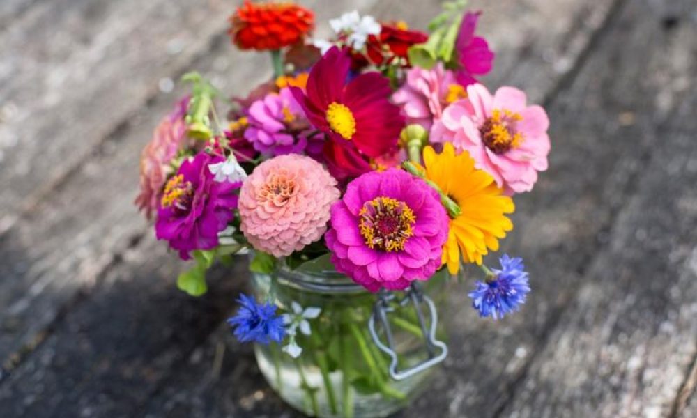 Cut Flowers Market